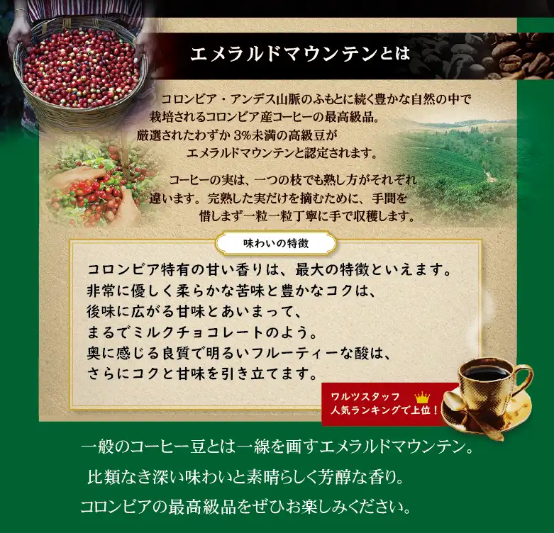 エメラルドマウンテンとは？