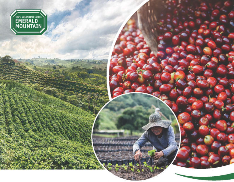 エメラルドマウンテン