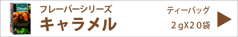 ディルマ　キャラメル   ２g×２０袋