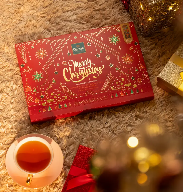 ディルマクリスマスアドベントカレンダー