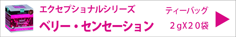 ディルマ　ベリー・センセーション　ティーバッグ　2ｇX20袋