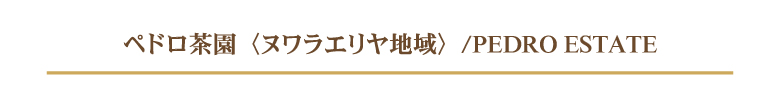 ペドロ茶園