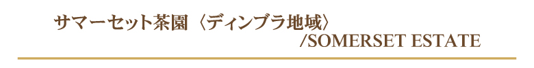 サマーセット茶園