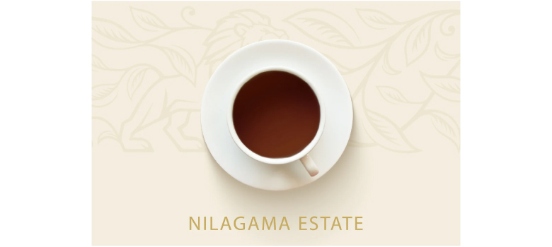 ニラガマ茶園〈ラトゥナプラ(サバラガムワ)地域〉(リーフティー125g)水色