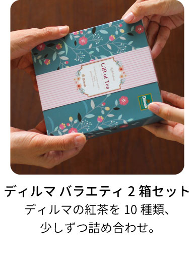 ディルマ　バラエティ2箱セット(Gift of Tea) GF-7