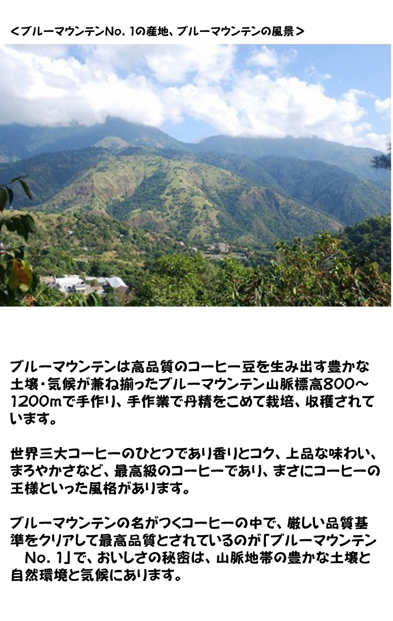 ブルーマウンテンNo.1の産地ブルーマウンテンの風景