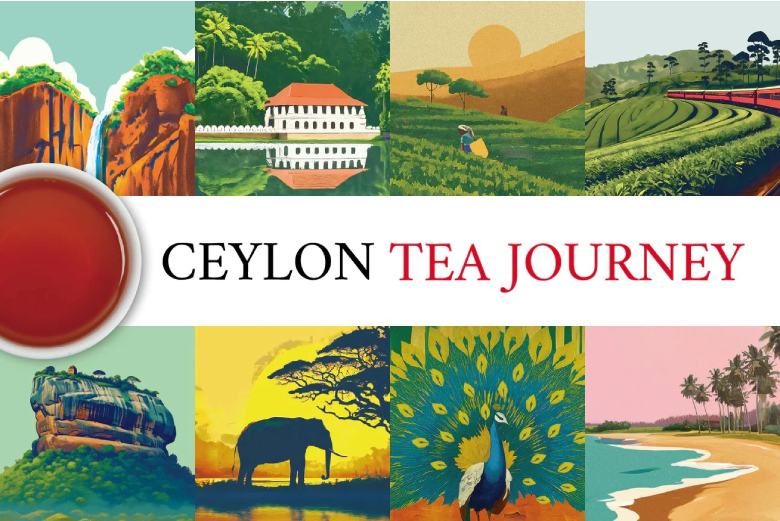 ディルマ紅茶カテゴリ紹介「セイロンティー・ジャーニーシリーズ」はディルマがスリランカの美しい茶園から直接お届けする、品質にこだわり抜いた本格セイロンティーです。