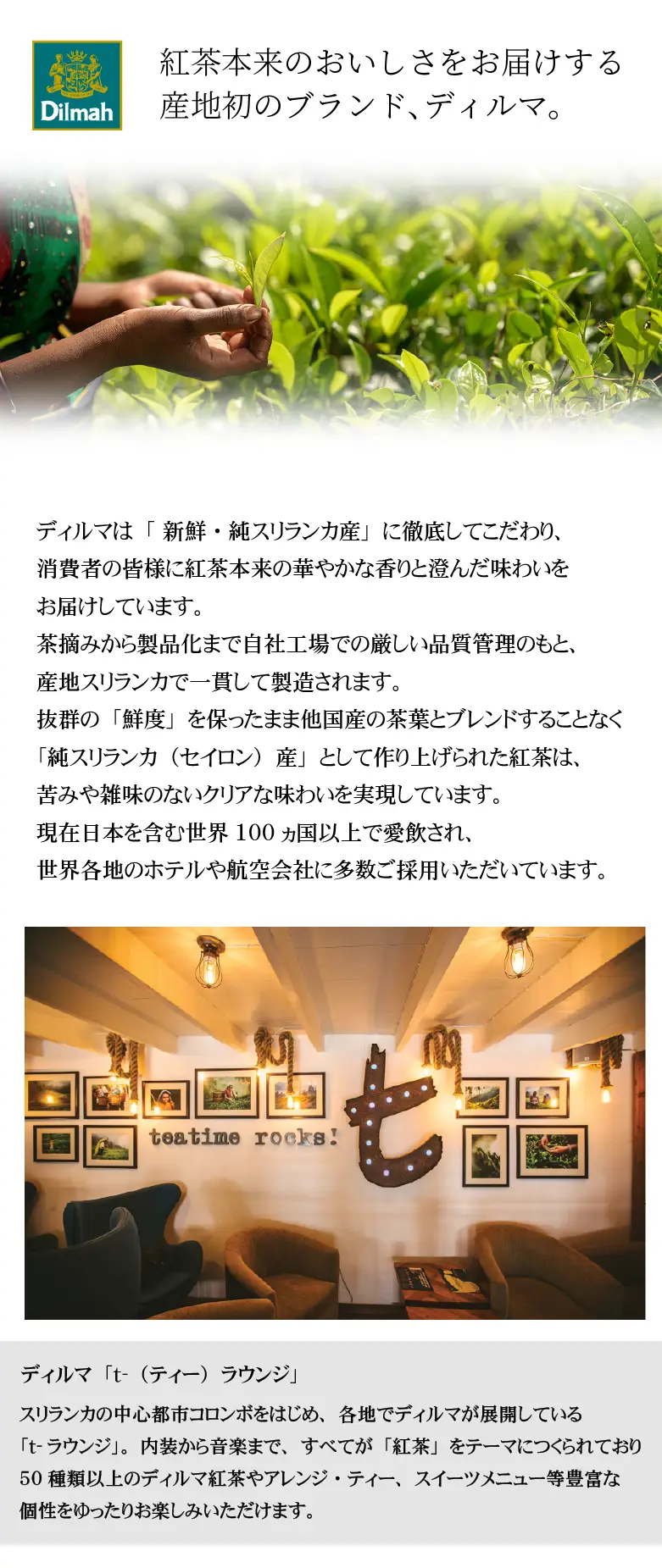 ディルマの魅力