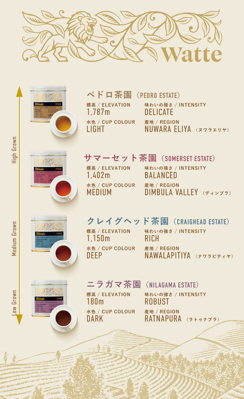ワッテシリーズ