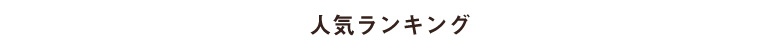 人気ランキング