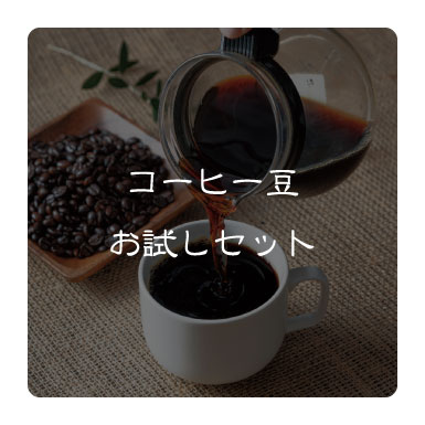 お試しセット